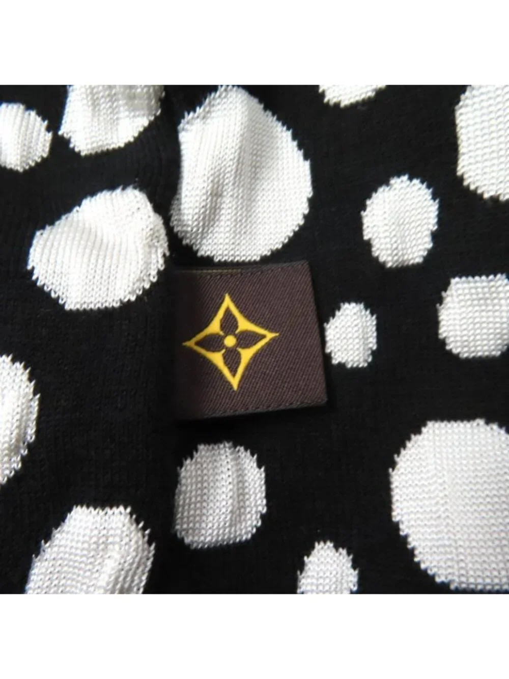 Louis Vuitton brand louis